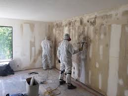  Schler Park, IL Mold Removal Pros